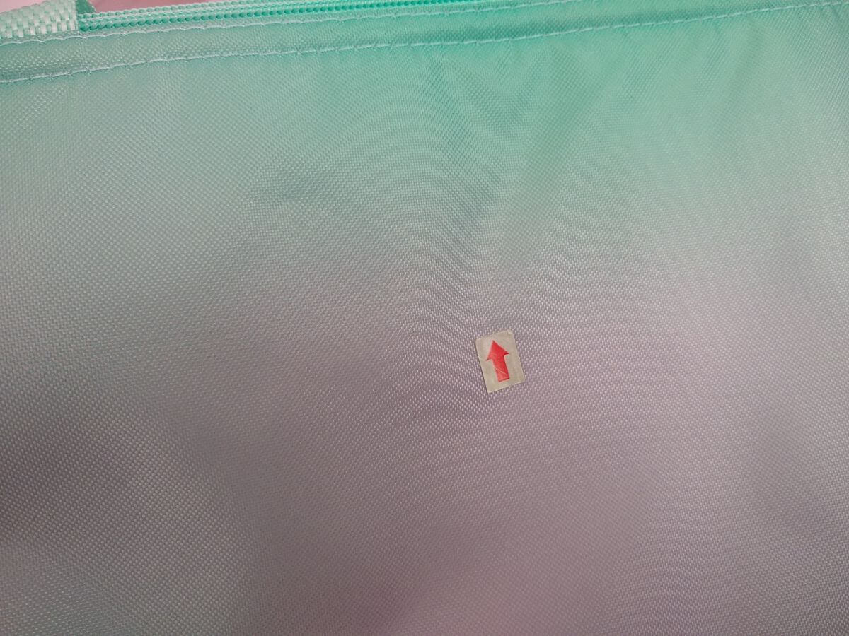 Gradient print defect - abrupt tonal breaks and visible dot structure on the fade area